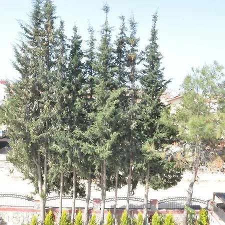 Vila Cagri Fethiye